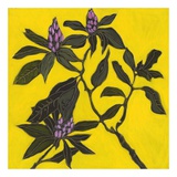 Flowers III Posters by Doris Macdougall