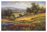 Campo di Fiore I Art by Hulsey 