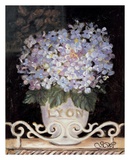 Hydrangeas of Lyon Poster by Shari White
