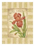 Belle Fleur II Prints by Betty Whiteaker