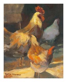 Rooster II Prints by Allayn Stevens