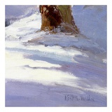 Majestic Winter (detail no. 2) Pôsters por Kent Wallis