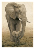 Momma's Boy Posters by W. Michael Frye