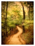 Enchanted Forest Prints by M. Ellen Cocose