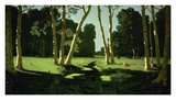 A Birch Grove, 1879 Affiche par Arkhip Kuinji
