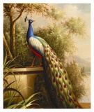 Regal Peacock Poster autor Cheri Blum Regal Peacock Poster autor Cheri Blum