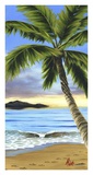 Solitude Shores Art by Pete Tillack