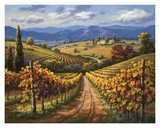 Vineyard Hill II Posters by Sung Kim