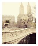 A Walk in the Park Poster par Irene Suchocki