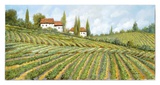 Le Case Nella Vigna Posters by Furtesen 