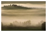 Trees in Mist II Prints by Jim Gamblin