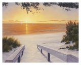 Evening Sunset Prints by Diane Romanello