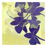 Orchid Shadows I Posters tekijänä Jan Weiss Orchid Shadows I Posters tekijänä Jan Weiss