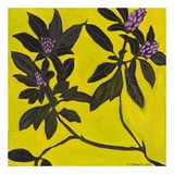 Flowers I Prints by Doris Macdougall