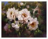 Full Blossom II Posters av Bowmy Full Blossom II Posters av Bowmy