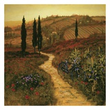 En bas du chemin Affiches par Steve Thoms