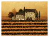 Fall Vineyard Posters by Lowell Herrero