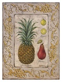 Tropical Fruit II Affiches par Janet Kruskamp