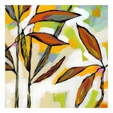 Bamboo Poster by Cori Dantini