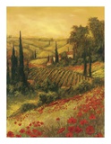 Toscano Valley II Poster von Art Fronckowiak