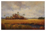 Oasis in the Fall Posters by Hannah Paulsen