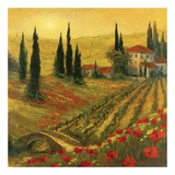 Poppies of Toscano I Posters par Art Fronckowiak