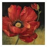 Poppy Blossom II Posters by Barbara Mock