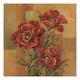 Poppies Terra Cotta Posters by Barbara Mock