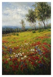 Wildflowers Prints by Hulsey 
