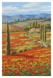 Red Poppy Field Posters by Sung Kim