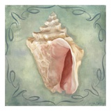 Seashells III Kunstdrucke von Marissa Decinque