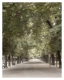 Morning In The Park II Art by Dianne Poinski