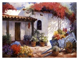Casa Paloma Prints by Carolyne Hawley