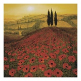 Poppy Field Prints by Steve Thoms
