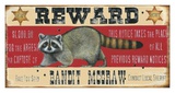 Bandit McGraw Kunstdrucke von Lesley Hallas