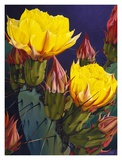Treasures in Highlight III Posters by David Manje