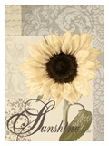 Sunshine Art by Maria Woods