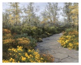 Step into Autumn Art by Diane Romanello