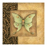 Luna Moth Square Art by Susan Winget