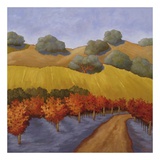 Hillside Vineyard II Print by Kathryn Steffen