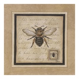 Worker Bee Poster by Constance Lael Worker Bee Poster by Constance Lael