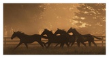 Running For Home I Posters by Robert Dawson