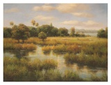 In the Bayou Prints by Charles Morton