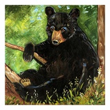Baby Bear Poster by Suzanne Etienne