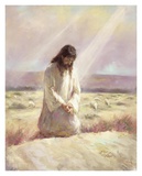 Shepherd Poster by Richard Judson Zolan