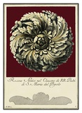 Rosone Antico IV Poster by Guerra 