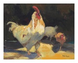 Rooster III Print by Allayn Stevens