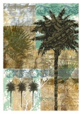 Palmera III Pósters por Maeve Fitzsimons