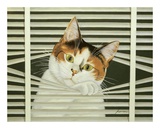Sassy Lara Plakaty autor Lowell Herrero Sassy Lara Plakaty autor Lowell Herrero