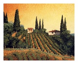 Vineyards of Tuscany Art by Santo De Vita